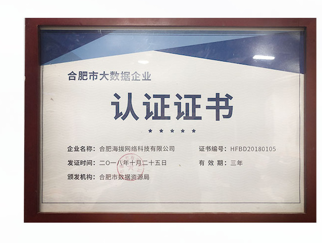 海拔网络2018年合肥市大数据企业证书